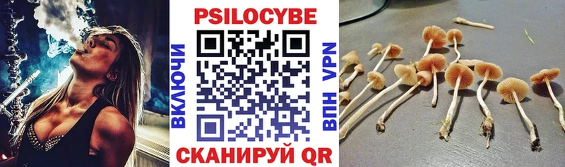 Галлюциногенные грибы Psilocybine cubensis  Ейск 