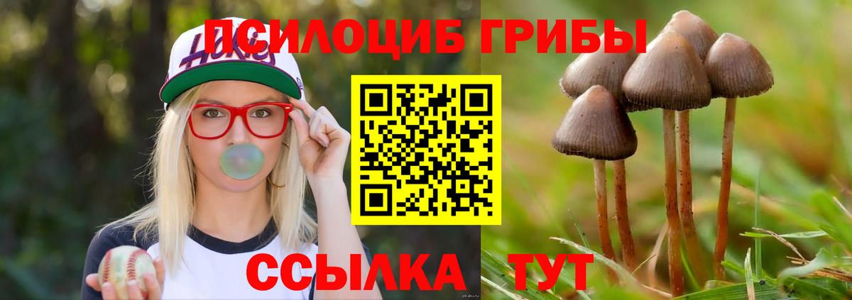 Галлюциногенные грибы мухоморы  Вход с VPN  Ейск 